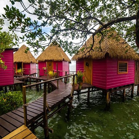 Urraca Monkey Island Eco Resort (Adults Only) Punta Laurel Dış mekan fotoğraf