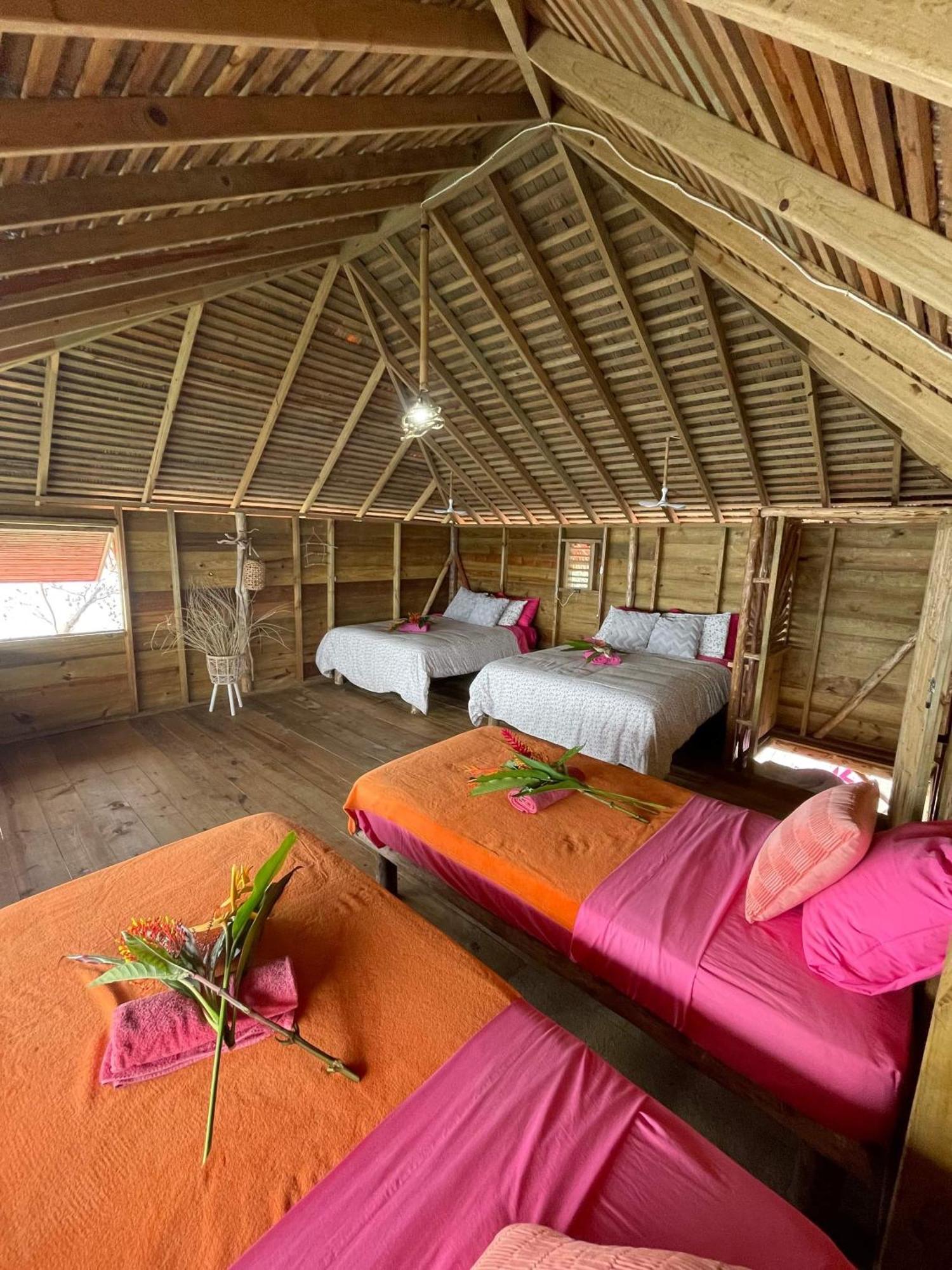 Urraca Monkey Island Eco Resort (Adults Only) Punta Laurel Dış mekan fotoğraf