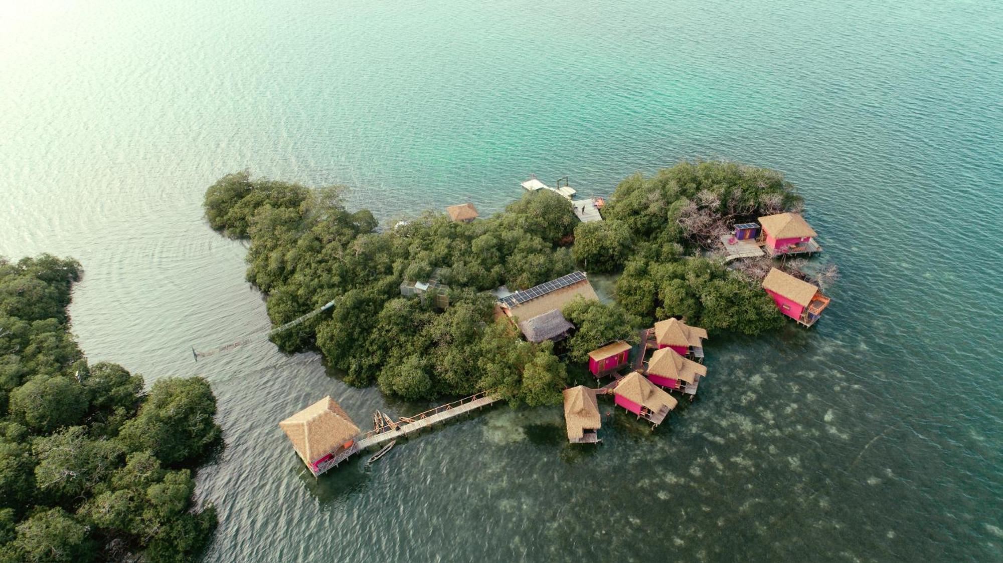 Urraca Monkey Island Eco Resort (Adults Only) Punta Laurel Dış mekan fotoğraf