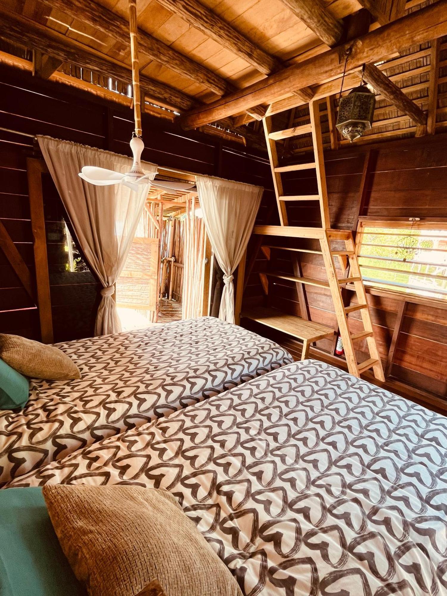 Urraca Monkey Island Eco Resort (Adults Only) Punta Laurel Oda fotoğraf