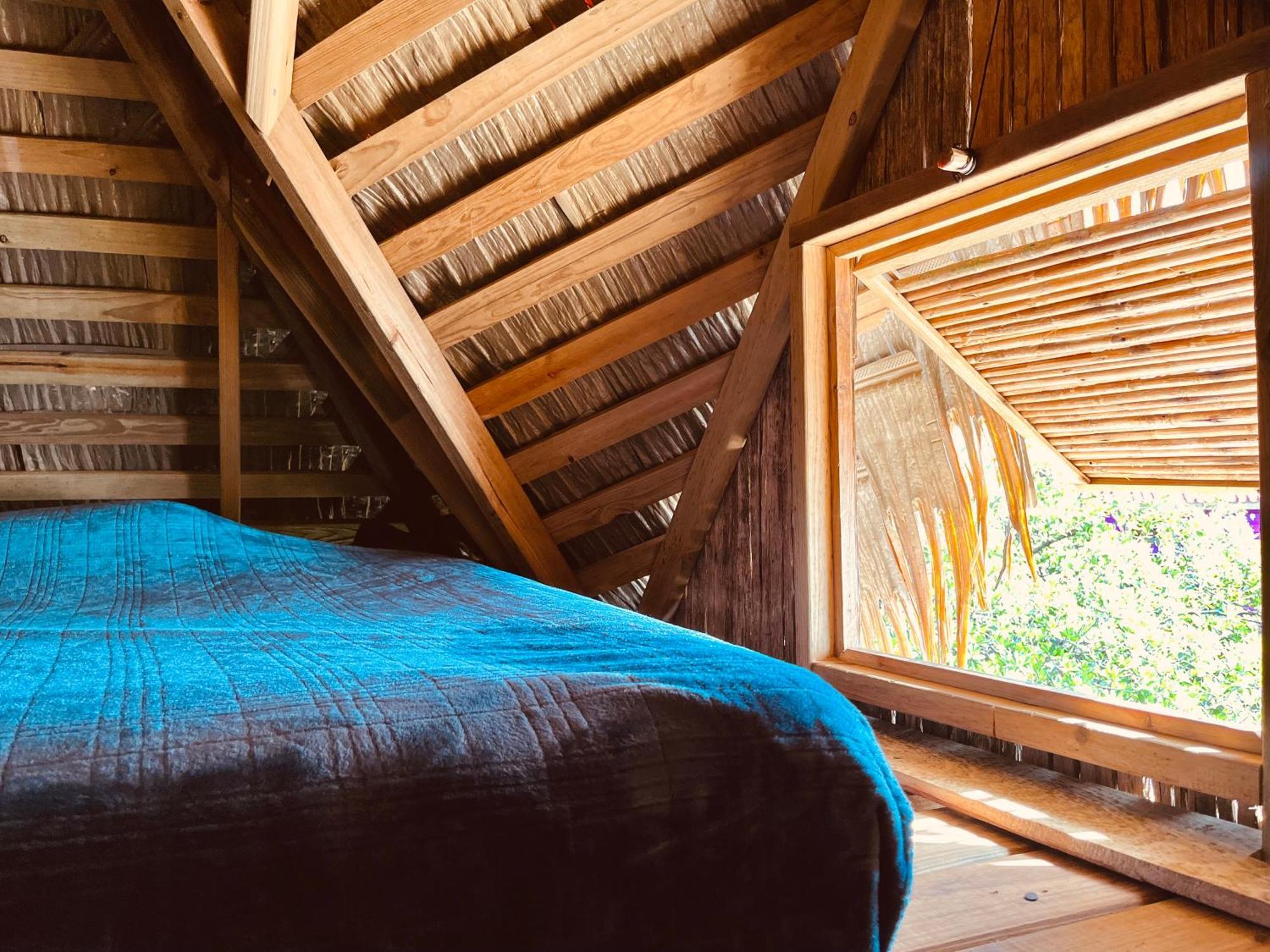 Urraca Monkey Island Eco Resort (Adults Only) Punta Laurel Oda fotoğraf