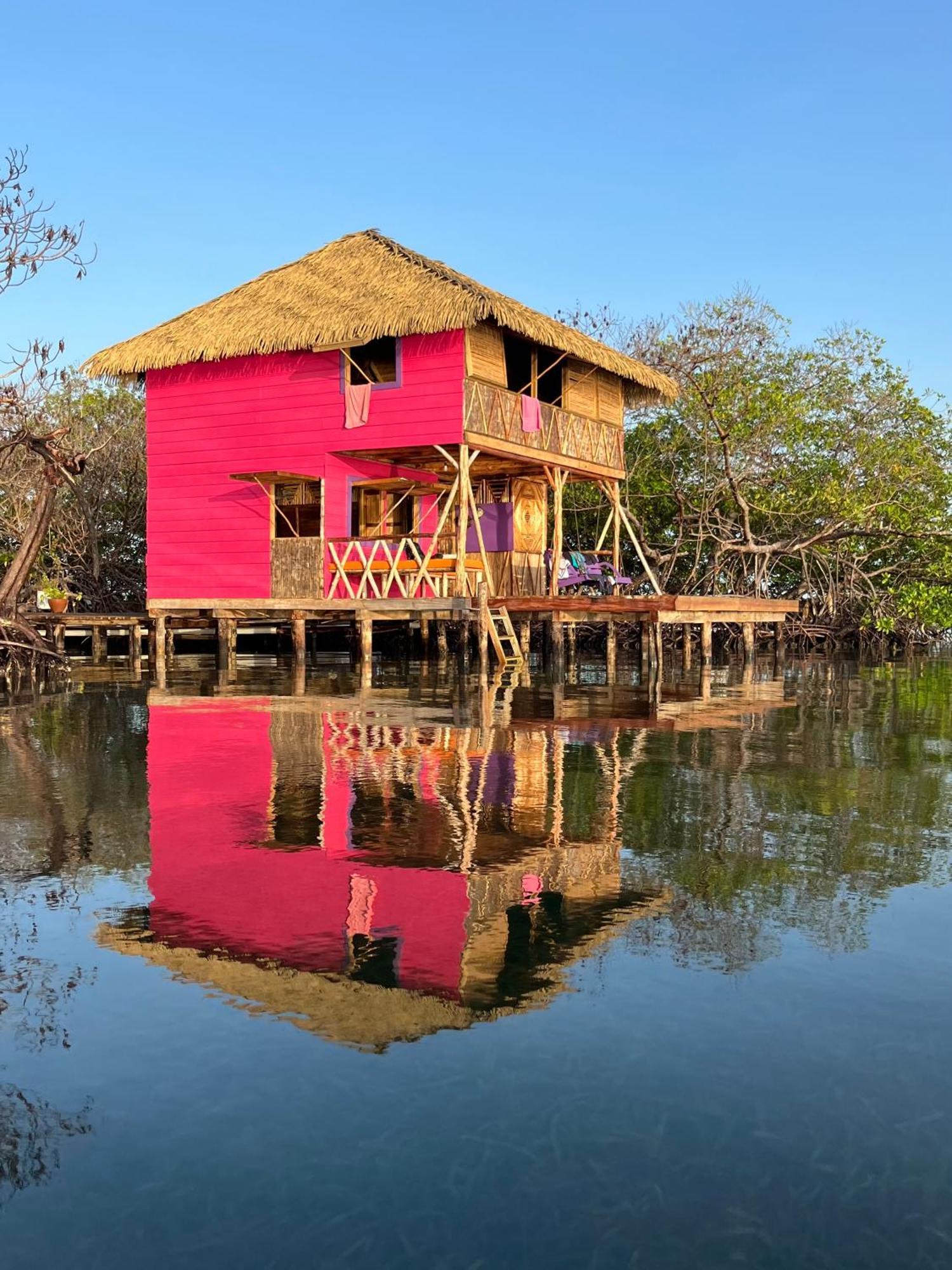 Urraca Monkey Island Eco Resort (Adults Only) Punta Laurel Oda fotoğraf